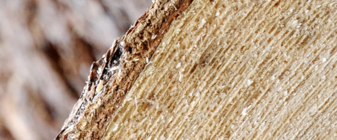 QM Riscaldamenti a legna QM Riscaldamenti a legna