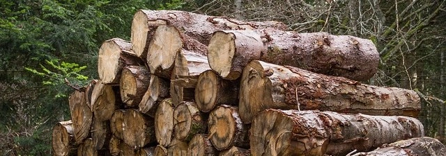 L'indice dei prezzi dei cippati registra un leggero calo