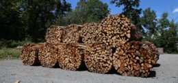 Energia del legno: un contributo prezioso 