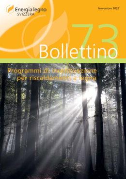 Programmi di incentivazione