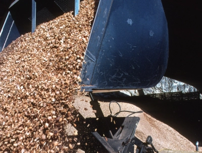 Der Preisindex Schnitzel sinkt leicht