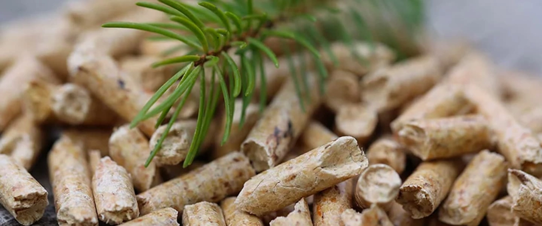 Incentivi finanziari