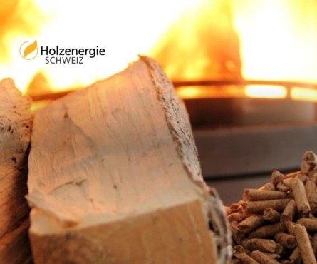 Holzaschen - Fachkurs für Praktiker