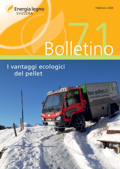 I vantaggi ecologici del pellet