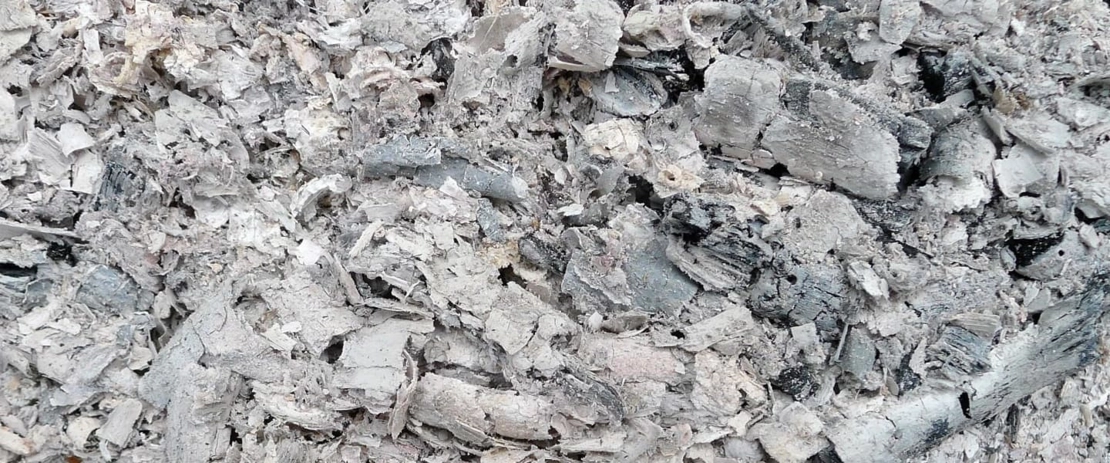 Ceneri del legno Ceneri del legno