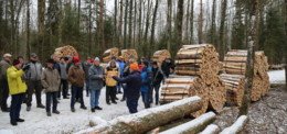 Zum Ersten, zum Zweiten, zum Dritten – Brennholz gefragt wie nie 