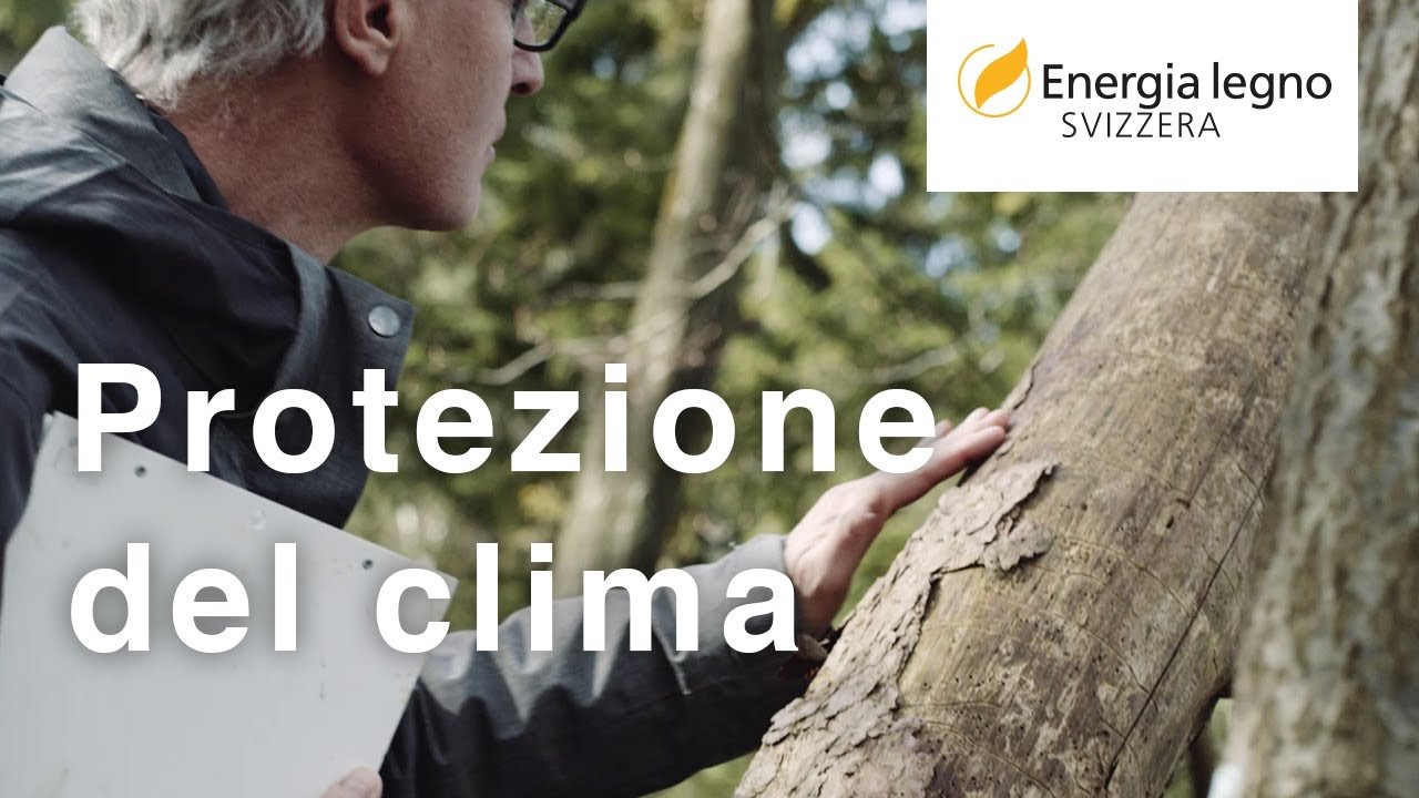 Protezione del clima