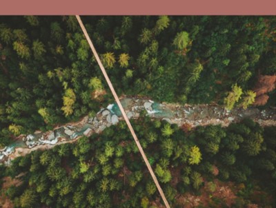 Jahrbuch Wald und Holz 2022