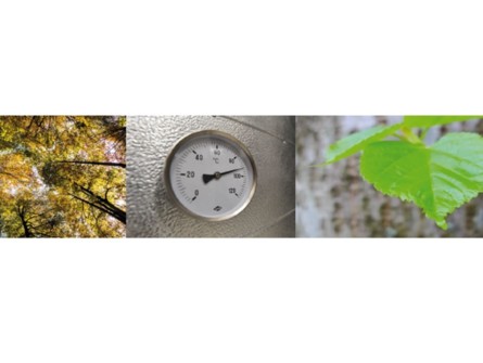 Reti termiche Sviluppo e decarbonizzazione
