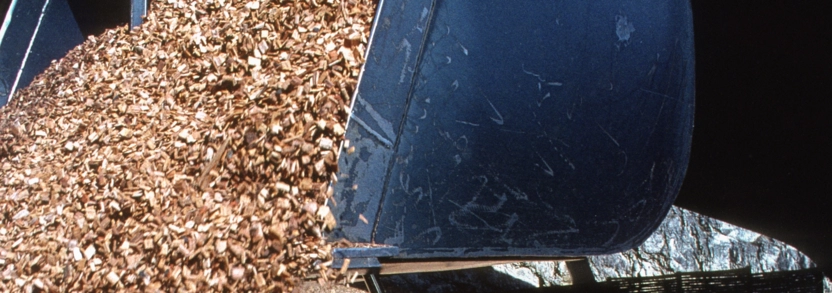 L'indice dei prezzi dei cippati registra un leggero aumento