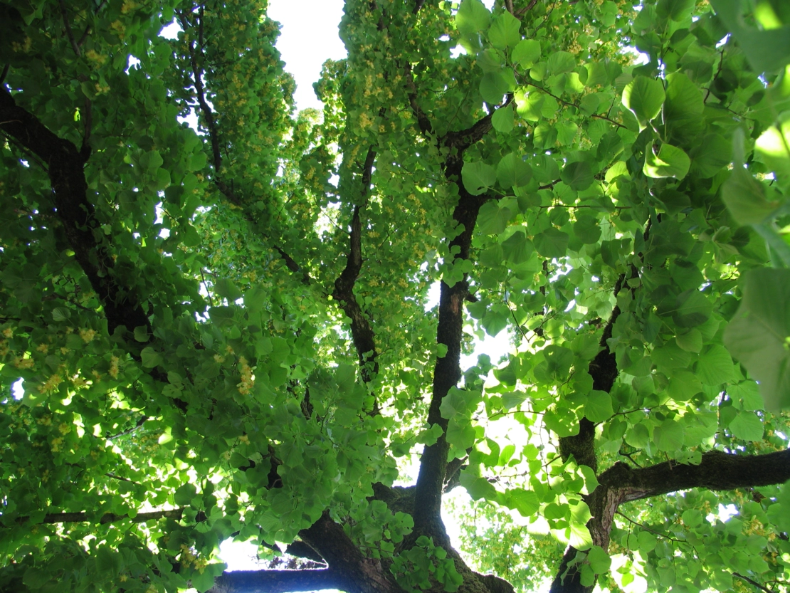 I nostri membri Unsere Mitglieder