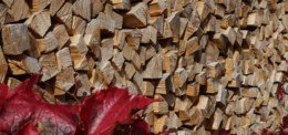 Il prossimo inverno i riscaldamenti a legna continueranno a scaldare