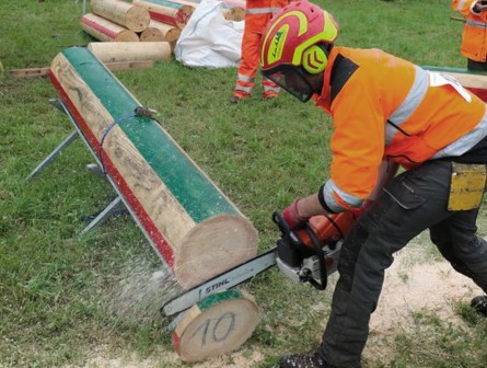 10. Internationaler Holzerwettkampf Pfannenstiel